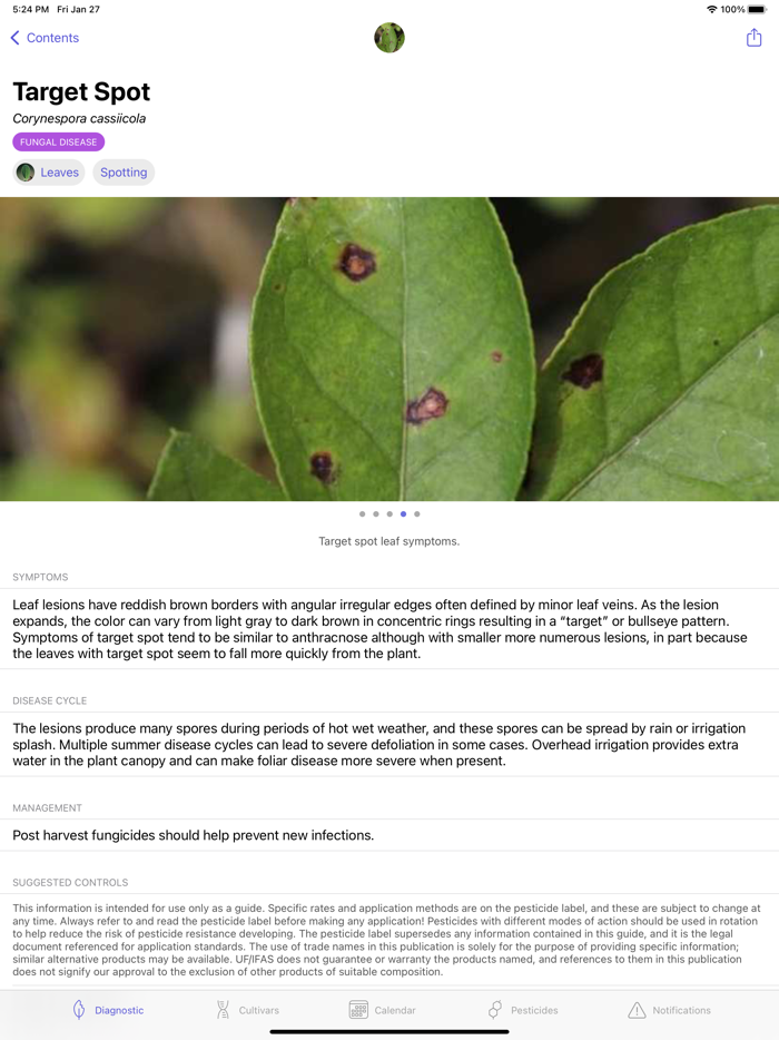 UF Blueberry Growers Guide