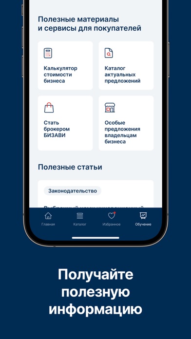 BIZAVI Screenshot