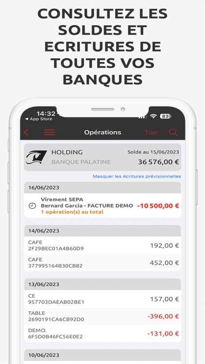 ePalatine Suite Mobile