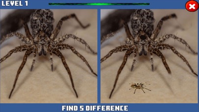 Spider Hidden Difference Screenshot