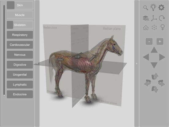 3D Horse Anatomy Softwareのおすすめ画像5