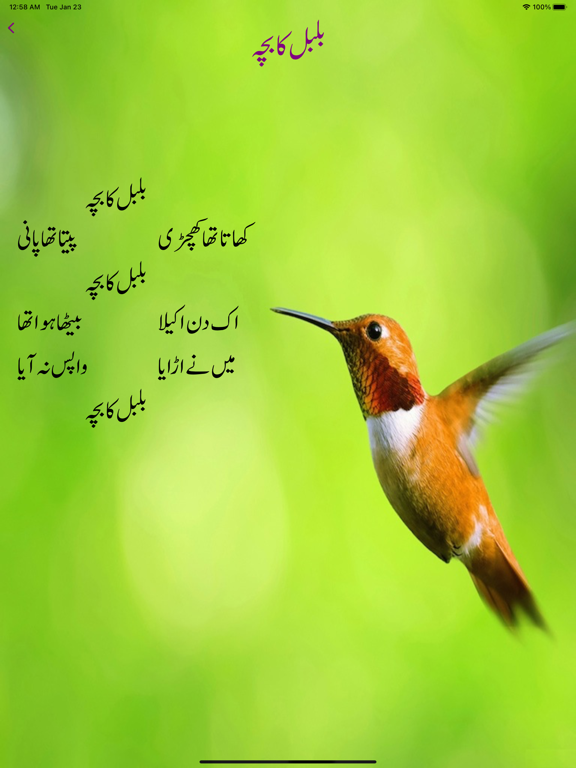 Screenshot #6 pour Kids Rhymes - Kids Urdu Poetry