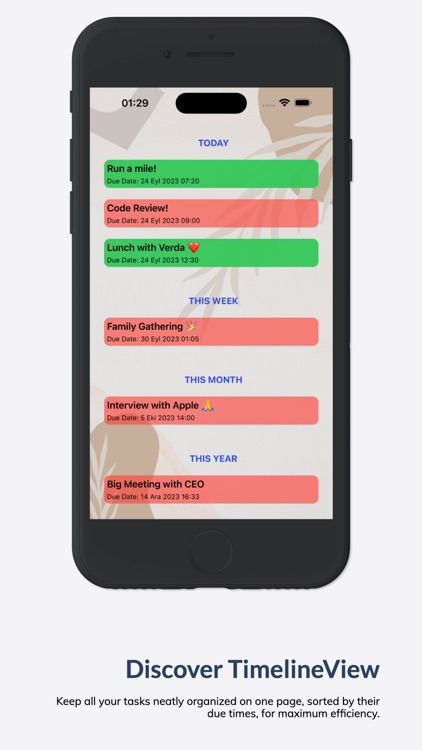 TaskMaster Plus screenshot-3