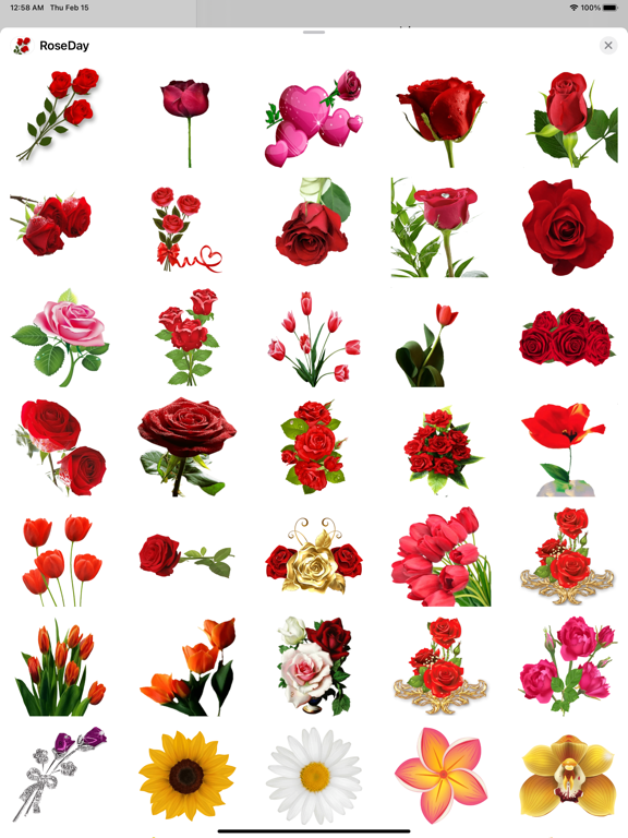 RoseDay Flower of Love Sticker iPad screenshot 6 - Stickers app