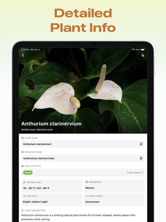 Screenshot #5 pour Flower Identifier & Finder