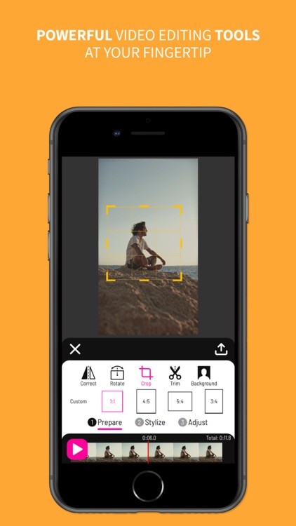 Toonita Video: Pop Art Filters
