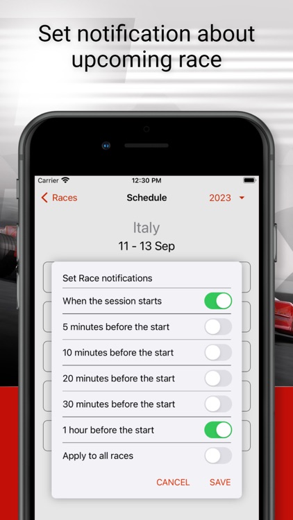 Formula 2025 screenshot-3