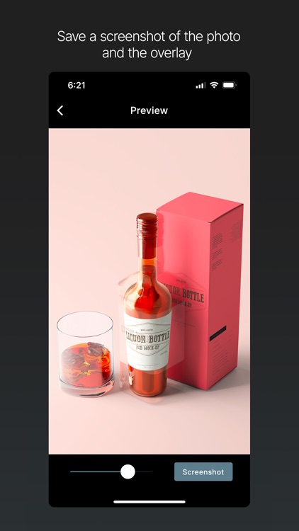 Camera Overlay for Business