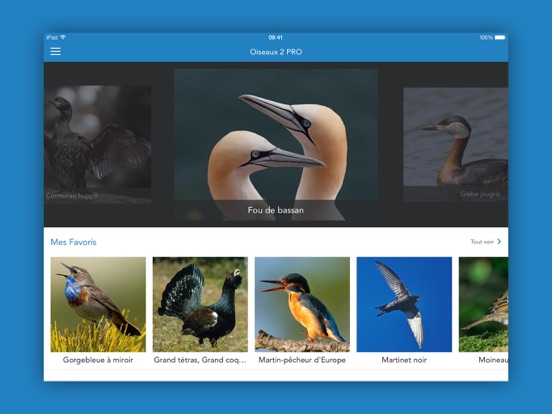 Screenshot #4 pour Oiseaux 2 PRO