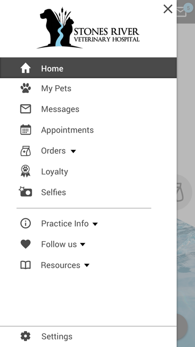 Stones River Vet Screenshot