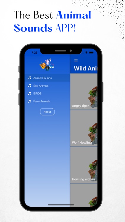 Animal Sounds - Cats Meowing