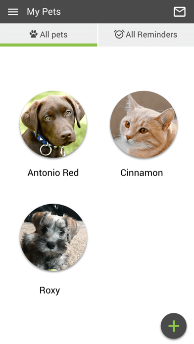 Fairview Veterinary Clinic Screenshot