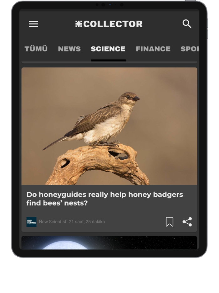 Collector Follow the World