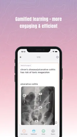 Game screenshot NCLEX100 hack
