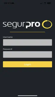 segurpro access problems & solutions and troubleshooting guide - 4