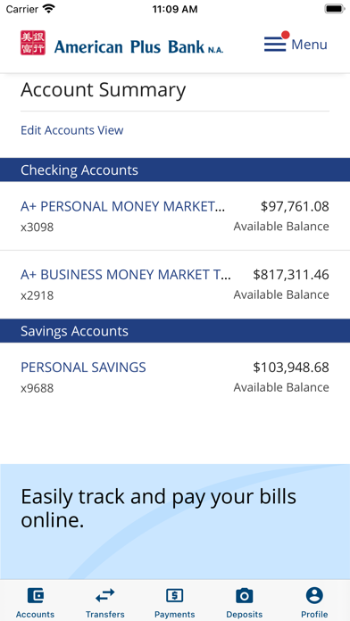 American Plus Bank, N.A. Screenshot