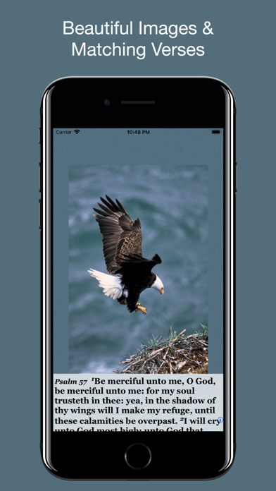Psalm Daily Quotes KJV Screenshot