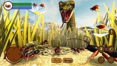 Ant Insect Life Survival War Screenshot