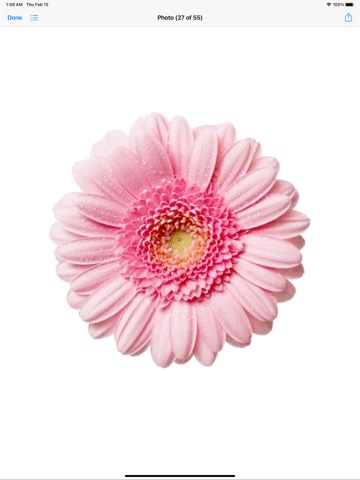 RoseDay Flower of Love Stickerのおすすめ画像10