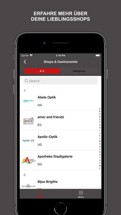 Stadtgalerie Passau Screenshot