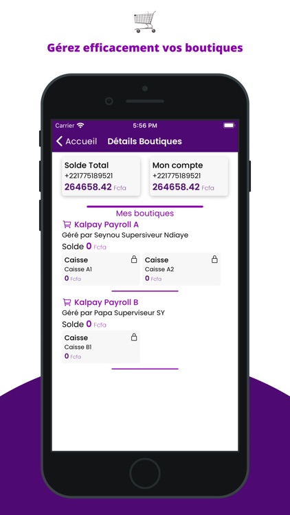 KalPay Business screenshot-4