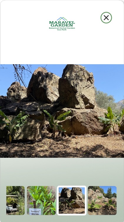 Maravel Garden screenshot-5