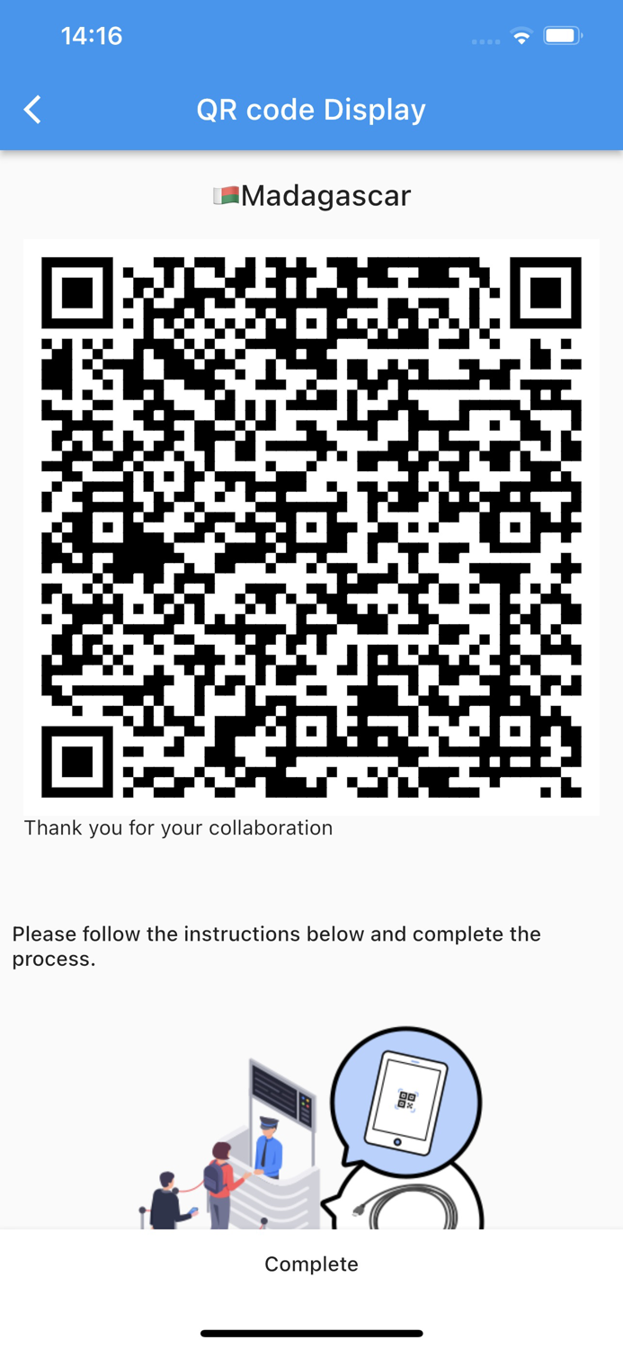 MDG Customs Declaration App.