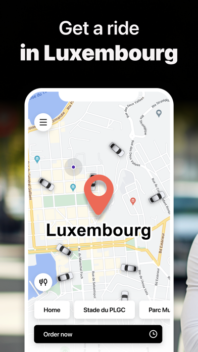 Mendes Taxi Luxembourg Screenshot
