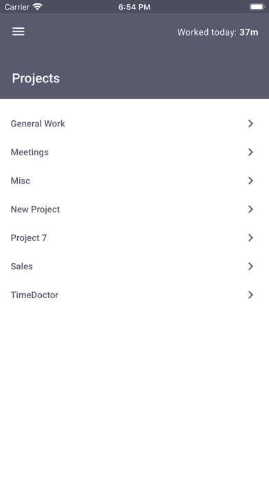 Time Doctor 2 Screenshot