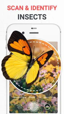 Game screenshot Insect photo Identifier AI mod apk