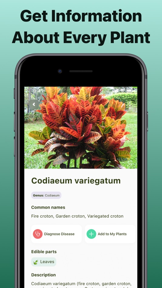 #2. LEAF AI: Snap, Identify Plants (iOS) Podle: Andrei Ivanou