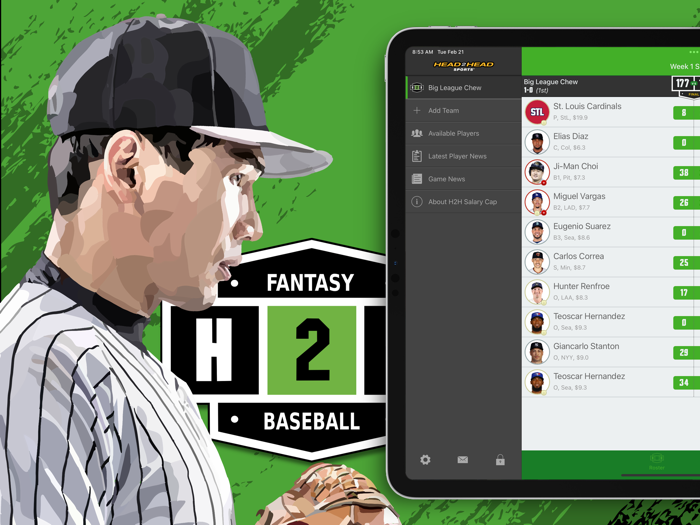 H2H Fantasy Baseball