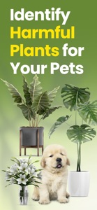 Pet Protect Plan: Toxic Plant screenshot #1 for iPhone