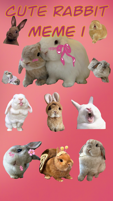Cute Rabbit Meme Screenshot