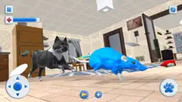Game screenshot Mouse Animal Life Simulator apk