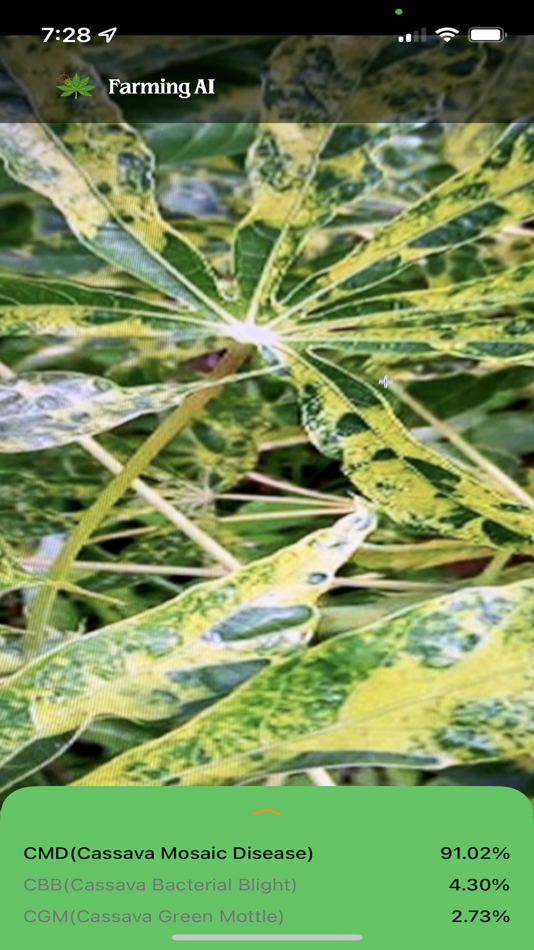 #1. Cassava Disease Diagnosis (iOS) Podle: Haesung Lee