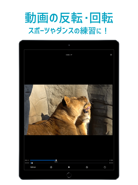Motion Player - ミラー・スロー再生のおすすめ画像1