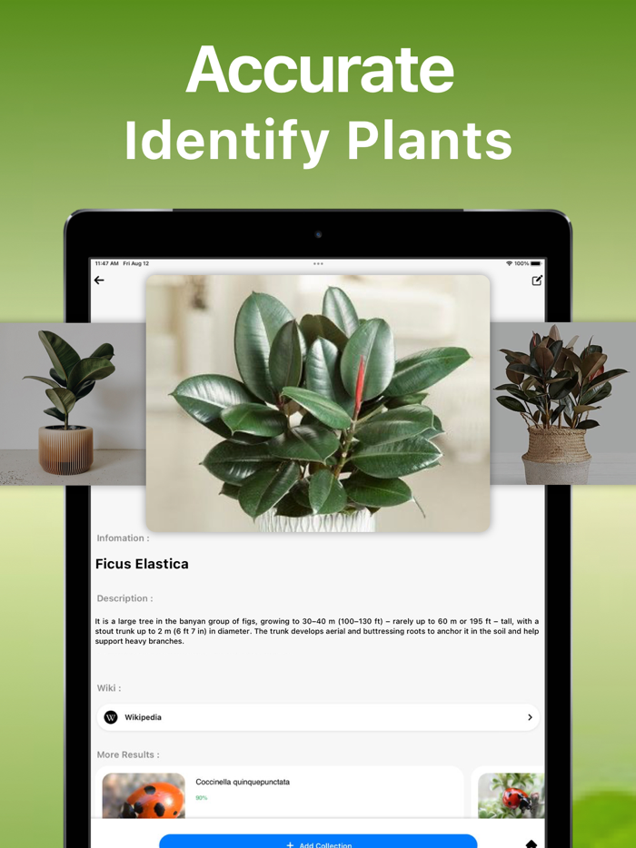 Bird Song Identifier Sounds ID