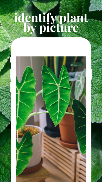 Plant identifier care guide Screenshot