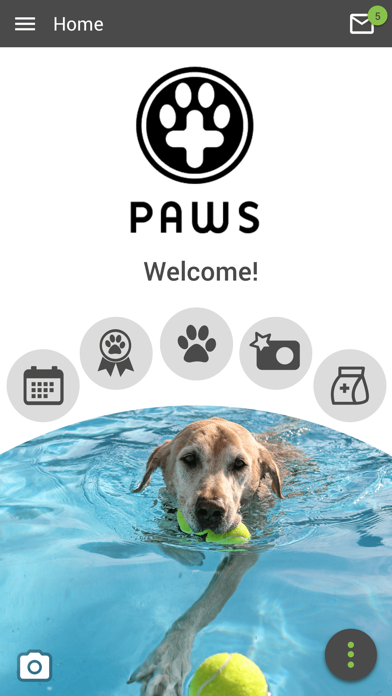 PAWS Vet Screenshot