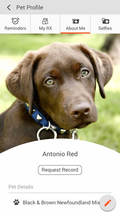 Animal Care Clinic Oregon