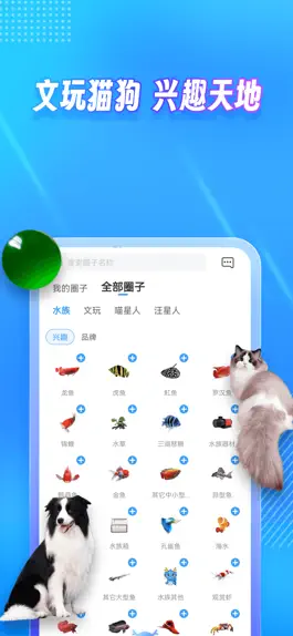 Game screenshot 龙巅 - 为兴趣而生 apk
