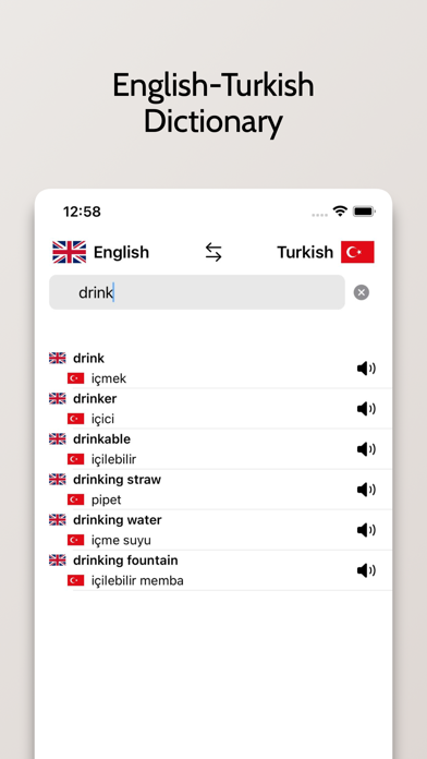Turkish/English Dictionary Screenshot