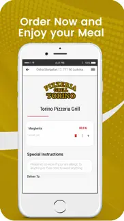 How to cancel & delete torino pizzeria ludvika 3