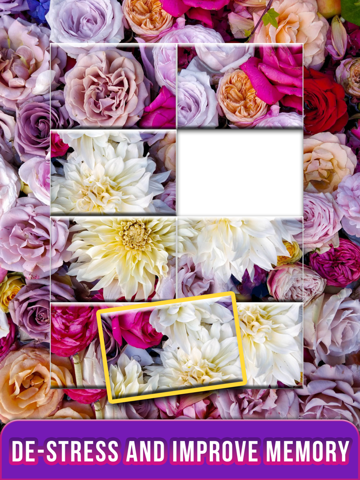 Jigsaw Puzzles - Puzzle Games