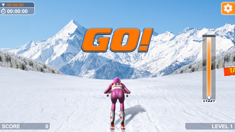 Slalom Ski Simulator screenshot-3