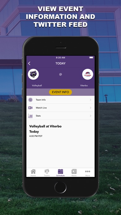 Bellevue Bruins Screenshot