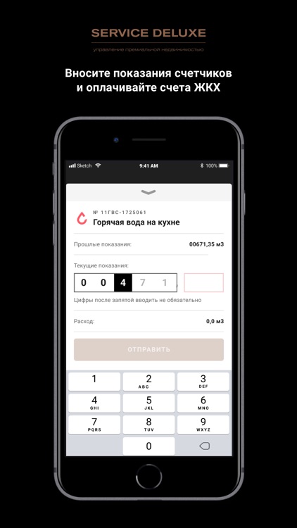 Service Deluxe screenshot-3