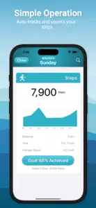 Pedometer929 screenshot #3 for iPhone