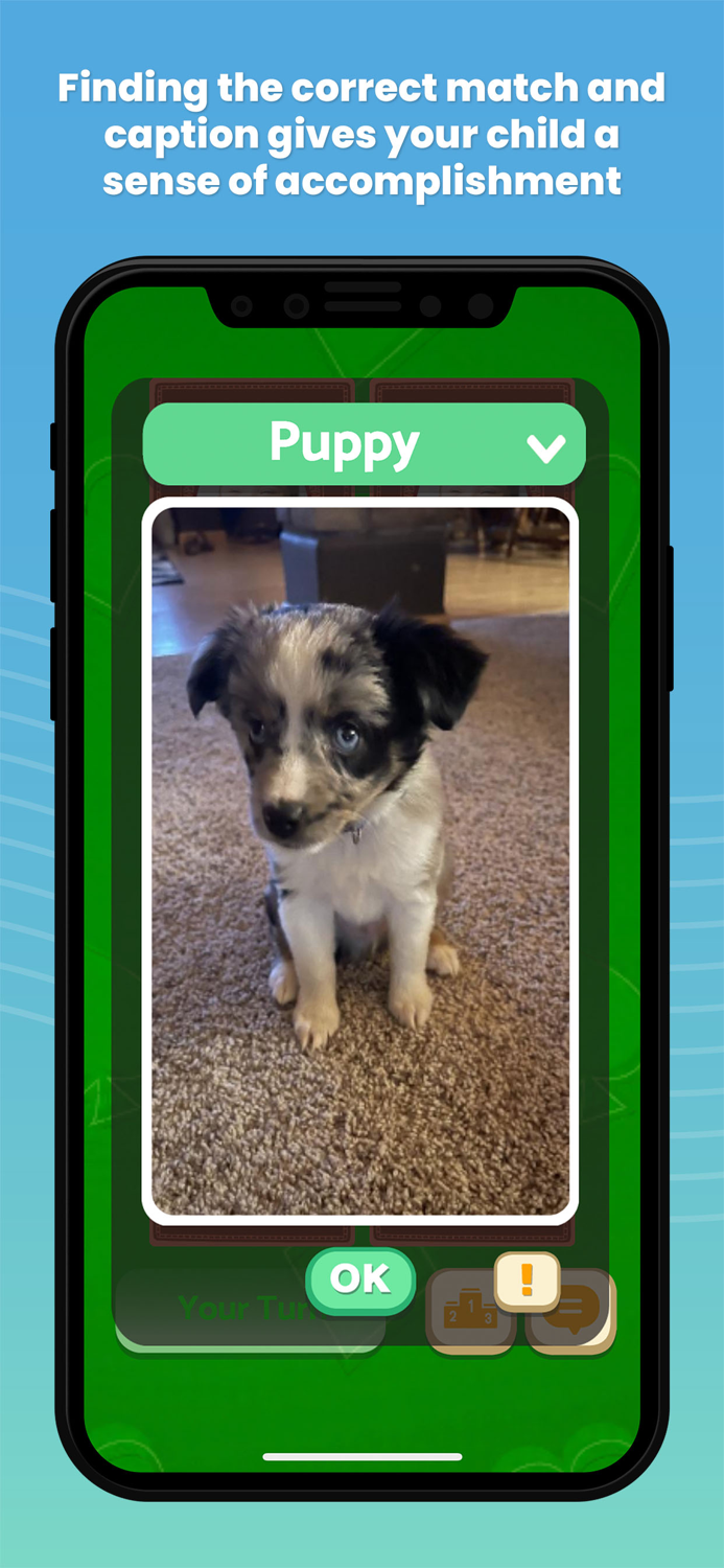 Picture This Matching Game